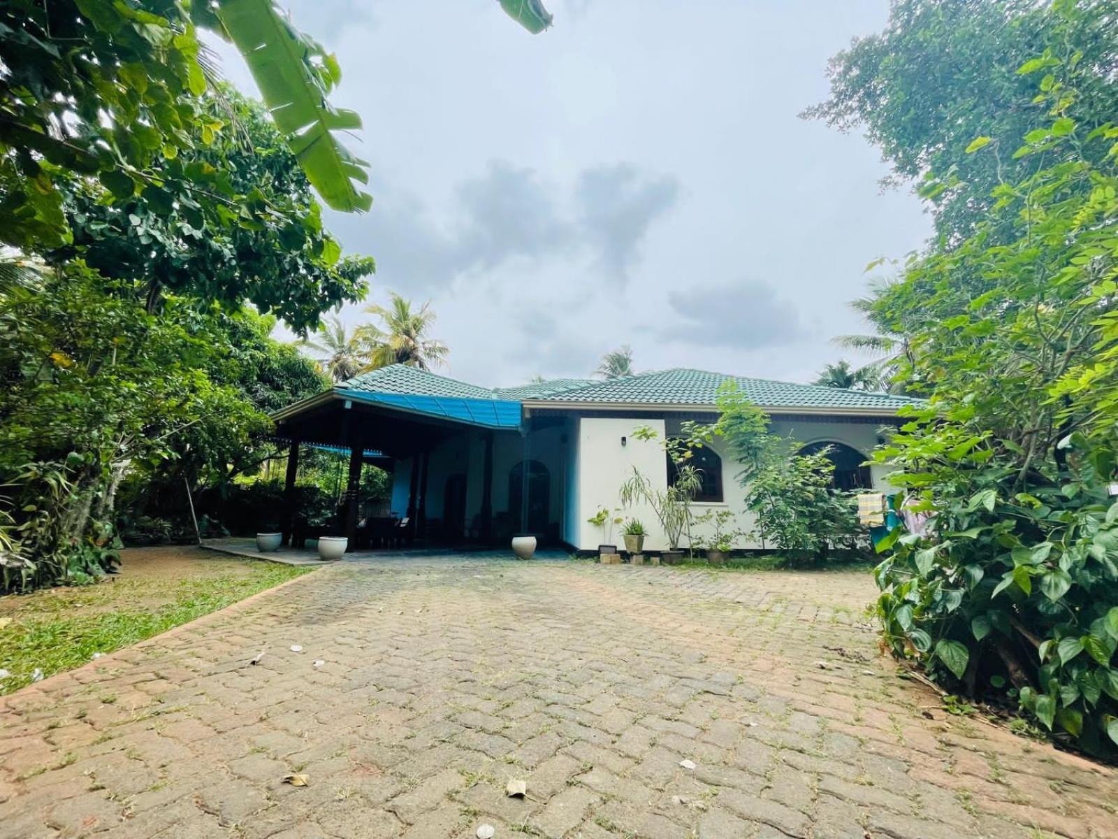Langama Thena - ළඟම තැන Hotel Anuradhapura Exterior foto